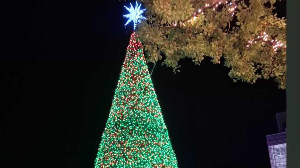 懐かしい曲聴いて、しみじみと感慨深い気持ちに…(>_<)