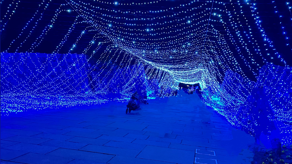 何年かぶりにイルミ行ってきた🏙💕