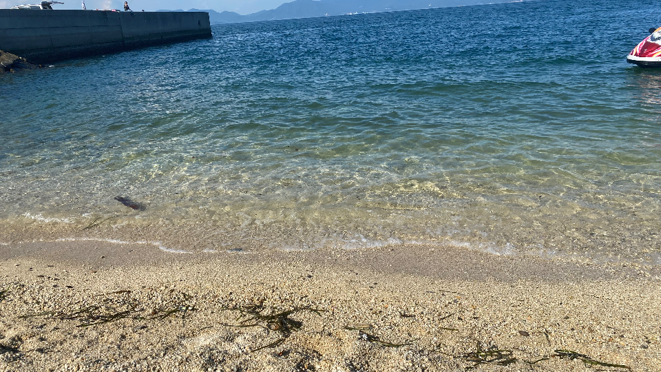 " ８月𝙻𝙰𝚂𝚃🐝🍯９月はすでに楽しみな予定がチラホラ🤟🏻今週もよろしくっ🌈 "