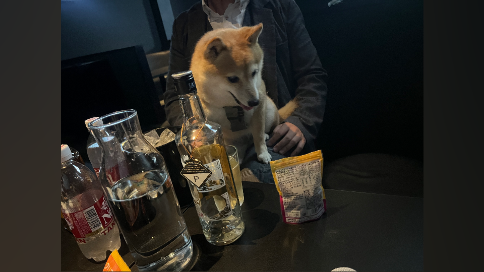 （※BLOG更新※）