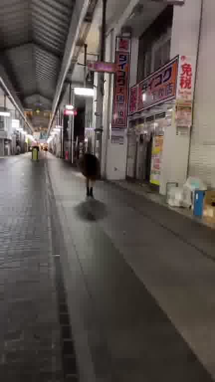 ラウンジ15ムービー