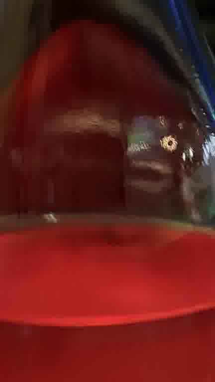 ホストクラブ15ムービー