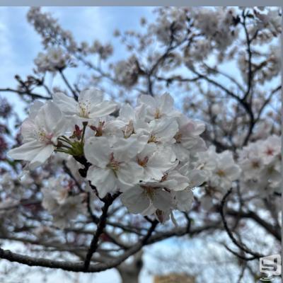 高知市ホストクラブ2026-04-03 17:44:05のお気に入り写真