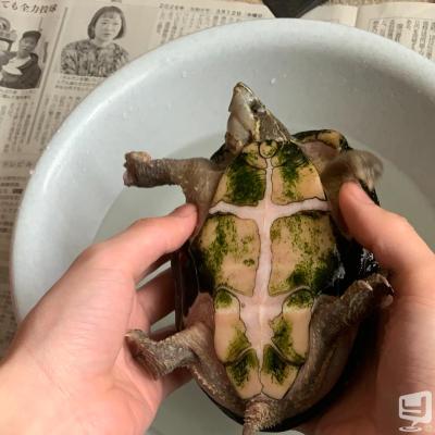 高知市ホストクラブ2026-04-26 18:20:19のお気に入り写真