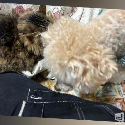 高知市ホストクラブ2026-04-28 19:01:16のお気に入り写真