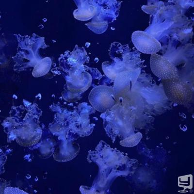 高知市ホストクラブ2026-04-29 17:21:40のお気に入り写真