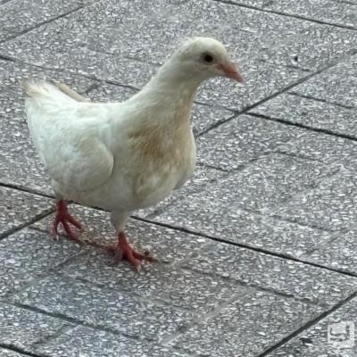高知市ホストクラブ2026-05-06 18:19:11のお気に入り写真