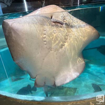 高知市ホストクラブ2026-03-28 20:07:53のお気に入り写真