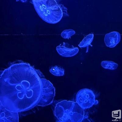 高知市ホストクラブ2026-09-15 19:17:19のお気に入り写真