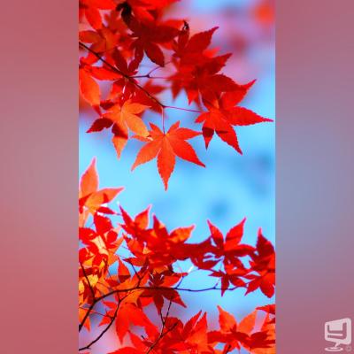 高松市ホストクラブ2026-10-01 18:07:57のお気に入り写真