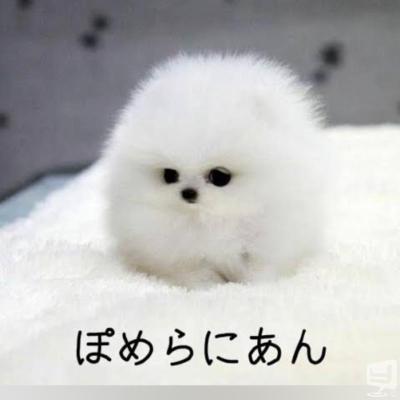 輝ののお気に入りの写真