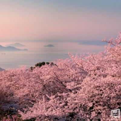 高松市ホストクラブ2026-02-24 17:38:11のお気に入り写真