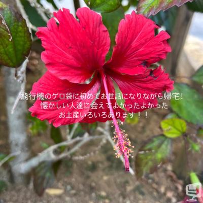 高松市ホストクラブ2026-03-10 04:58:06のお気に入り写真