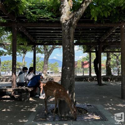 高松市ホストクラブ2026-05-18 23:41:06のお気に入り写真