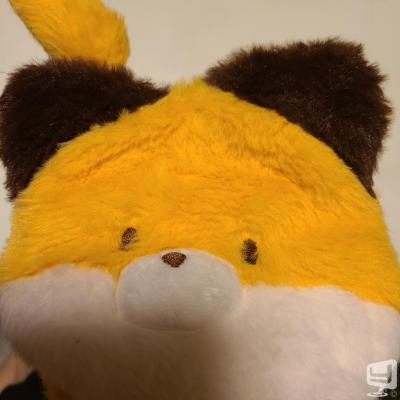 りん (チーフママ)ののお気に入りの写真