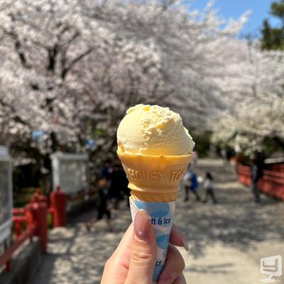 高松市ラウンジ2026-04-11 13:49:35のお気に入り写真