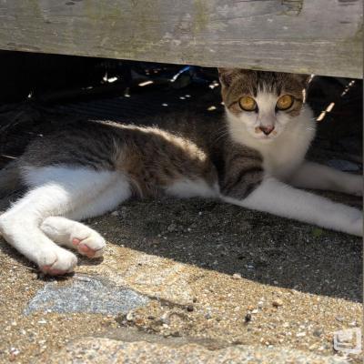 高松市ラウンジ2026-07-16 13:15:04のお気に入り写真