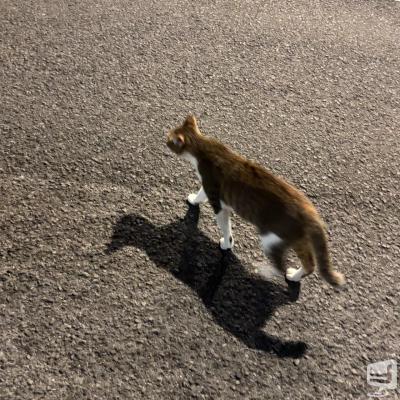 高松市ラウンジ2026-08-11 16:16:52のお気に入り写真