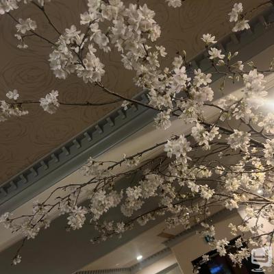 高松市ラウンジ2026-03-31 10:20:50のお気に入り写真