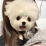 みさ